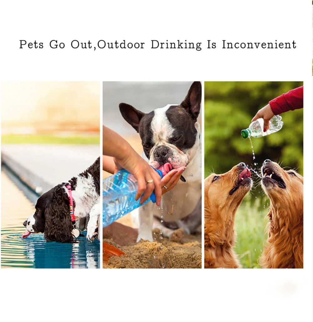 Portable Leak-Proof Water Bottle