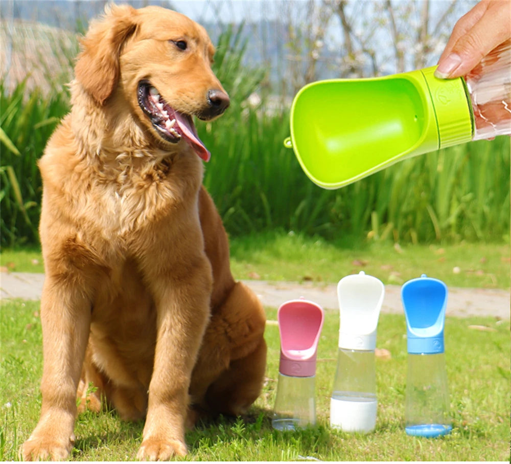 Portable Leak-Proof Water Bottle
