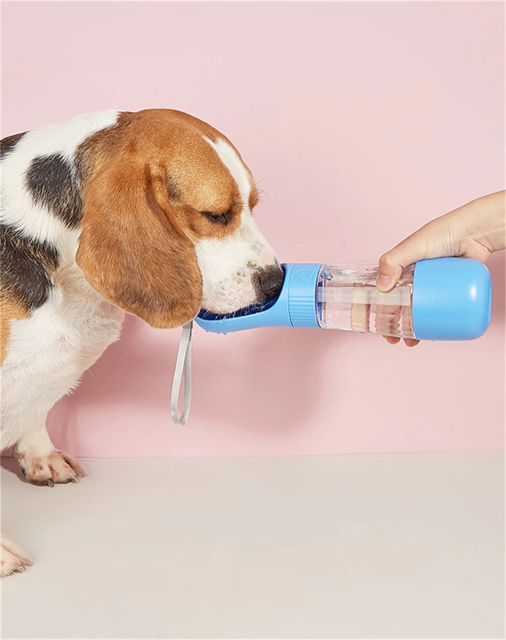 Portable Leak-Proof Water Bottle