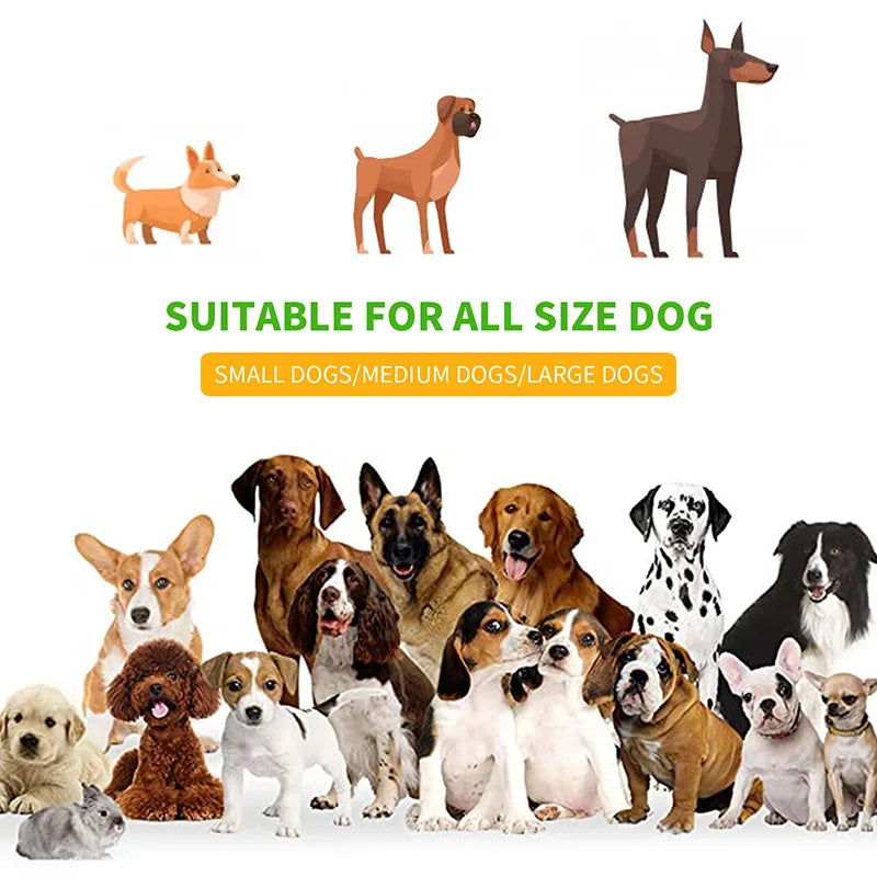 Hands-Free Retractable Dog Leash