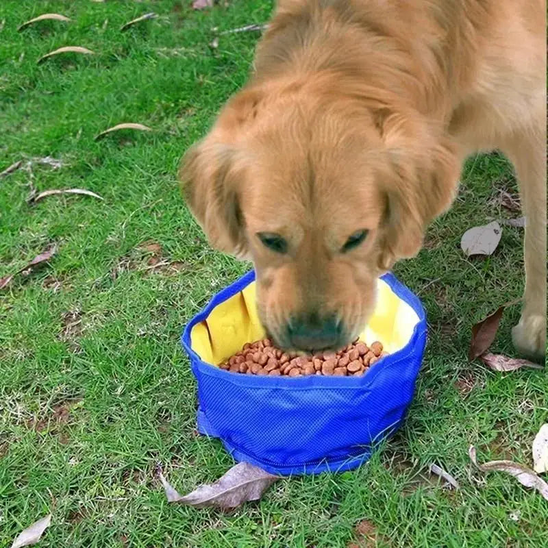 Foldable Hiking Water Bowl