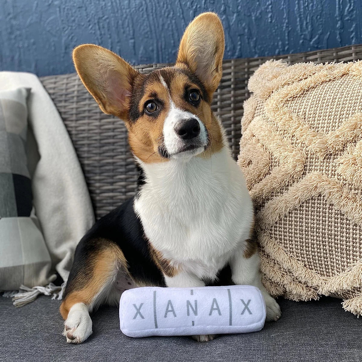 Chill Pup Parody Squeaky Dog Toy