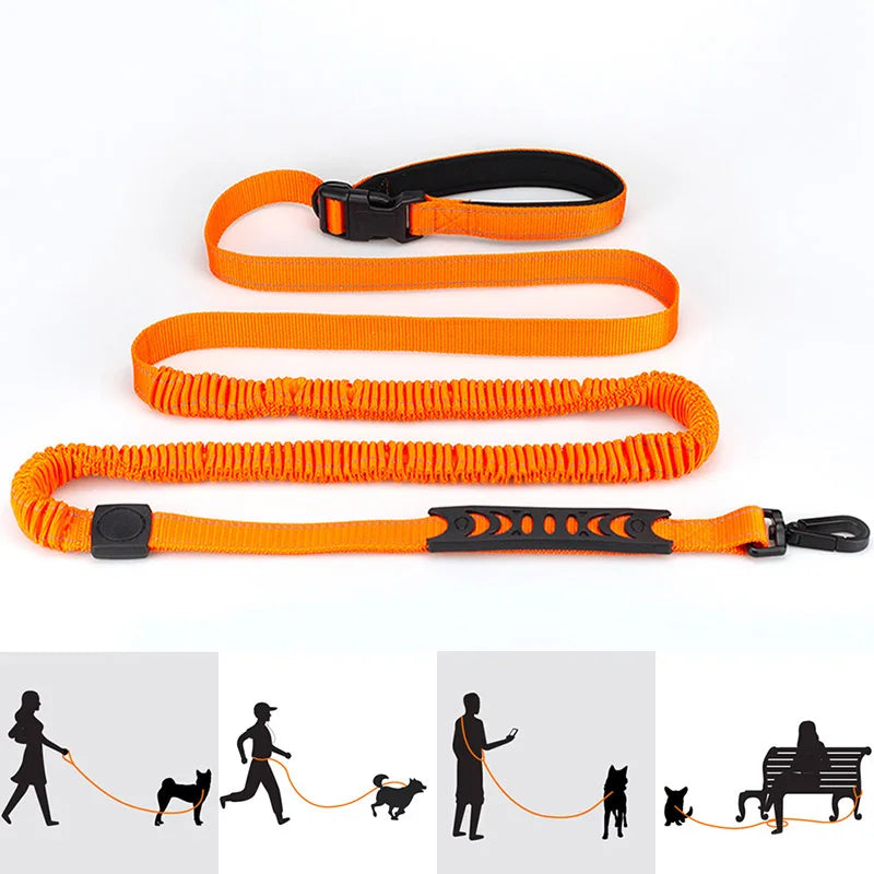 Hands-Free Retractable Dog Leash
