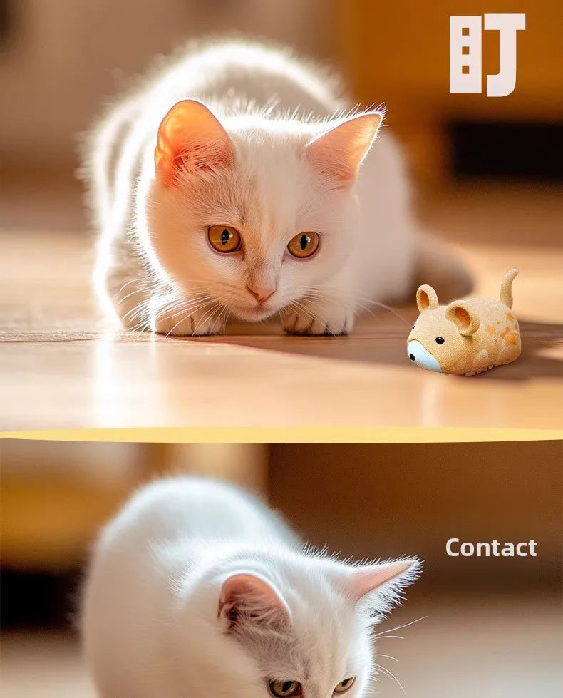 Self-Moving Electric Mouse Cat Toy