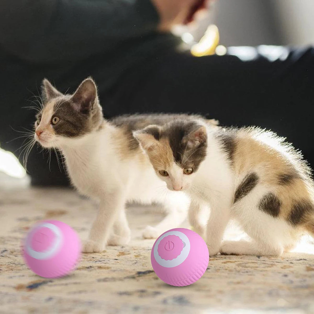 Smart Auto-Rolling Ball Cat Toy